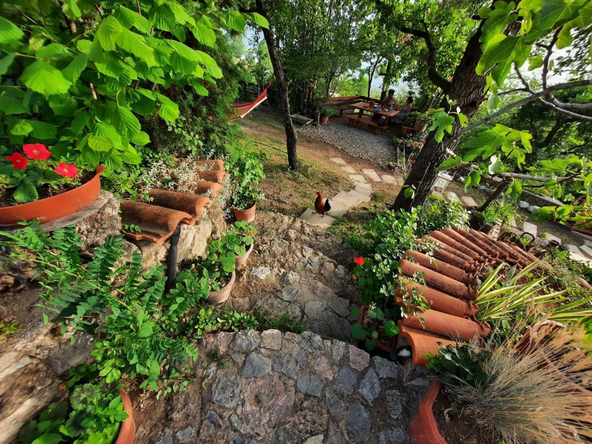 Robinson Sunset Guest House لاغادين المظهر الخارجي الصورة